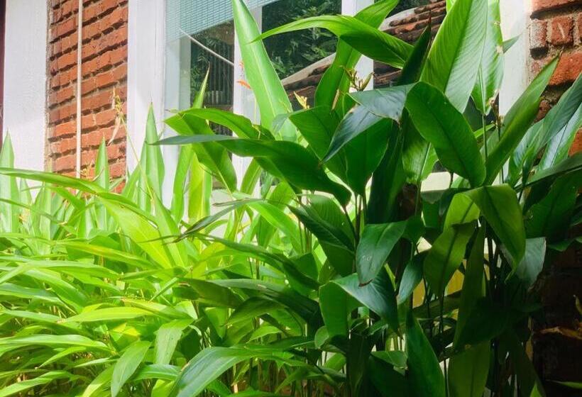 호스텔 Habarana Inn