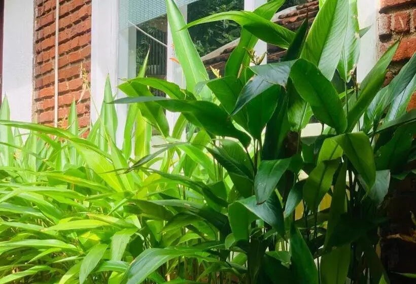 Retkeilymaja Habarana Inn