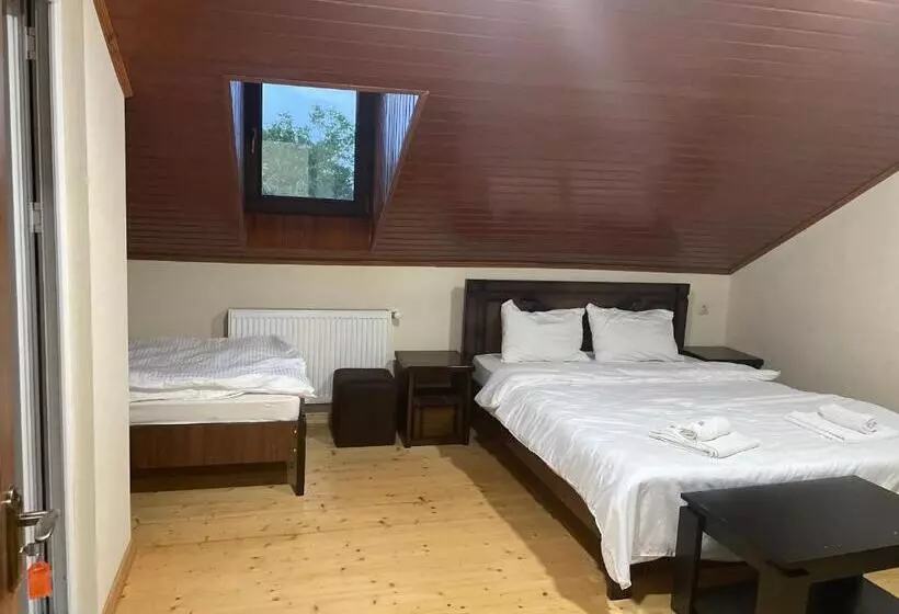 پانسیون Mtskheta Wellpoint Arsukidze 48