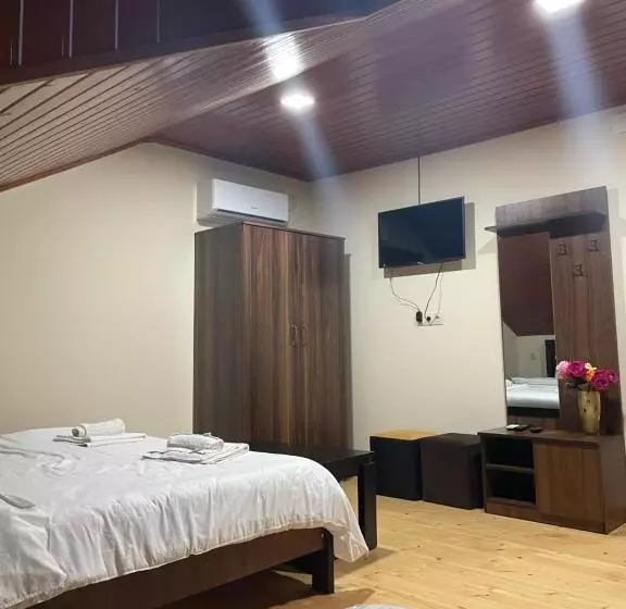 پانسیون Mtskheta Wellpoint Arsukidze 48