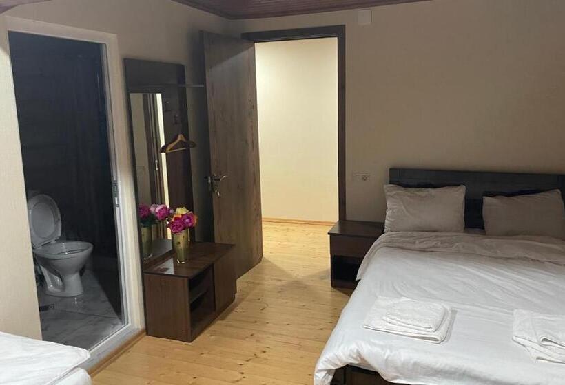 پانسیون Mtskheta Wellpoint Arsukidze 48