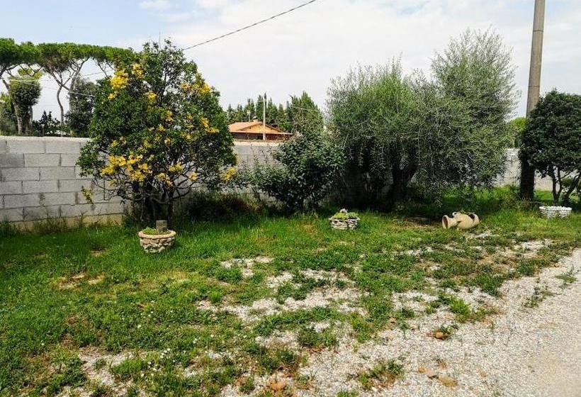 פנסיון La California