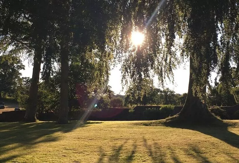 تختخواب و صبحانه Llwynhelig Manor