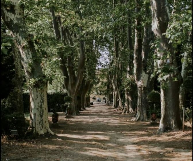 تختخواب و صبحانه Château De Saint Girons Luxury Guest House In Provence