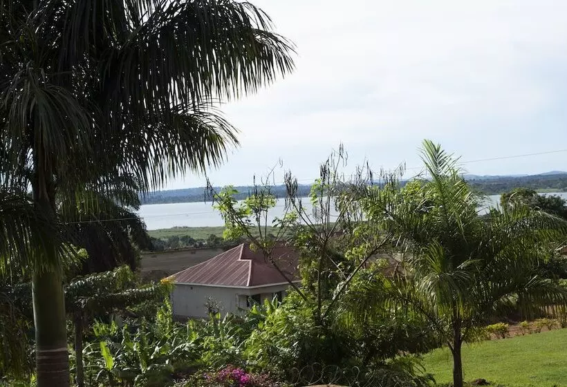 تختخواب و صبحانه The Hive Entebbe Guesthouse