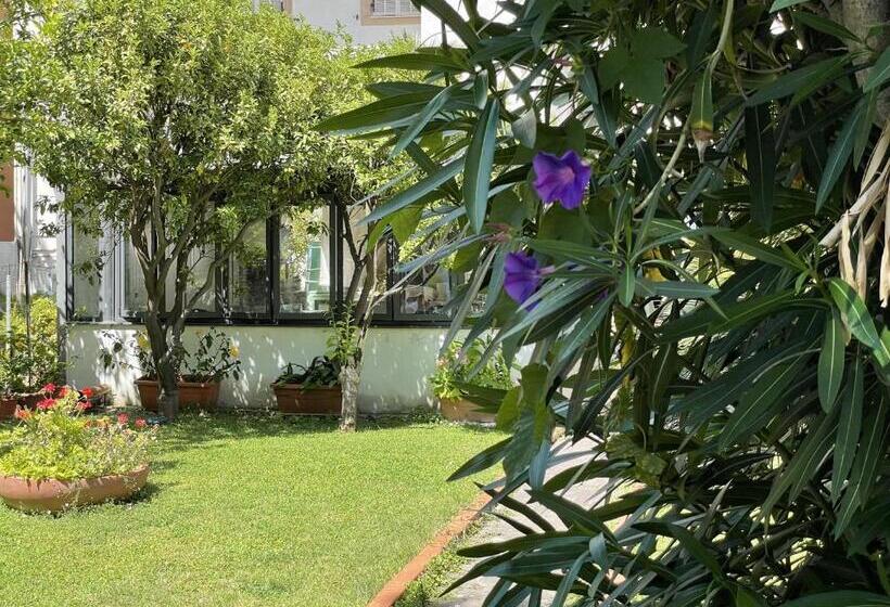 בית מלון כפרי Rosalia