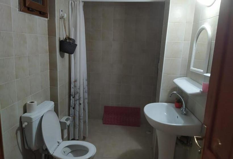 Funky Monkey Hostel & Pub Antalya  Adults Only