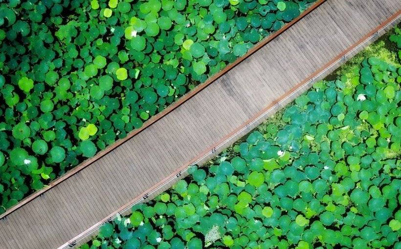 Otel Suining Marriott