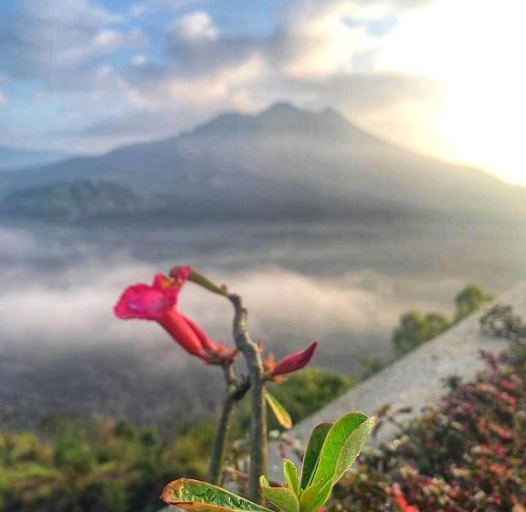 Пансион Ayodya Batur Villa