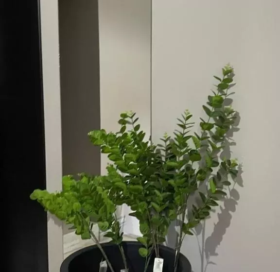 ベッドアンドブレックファースト Ora Apartament