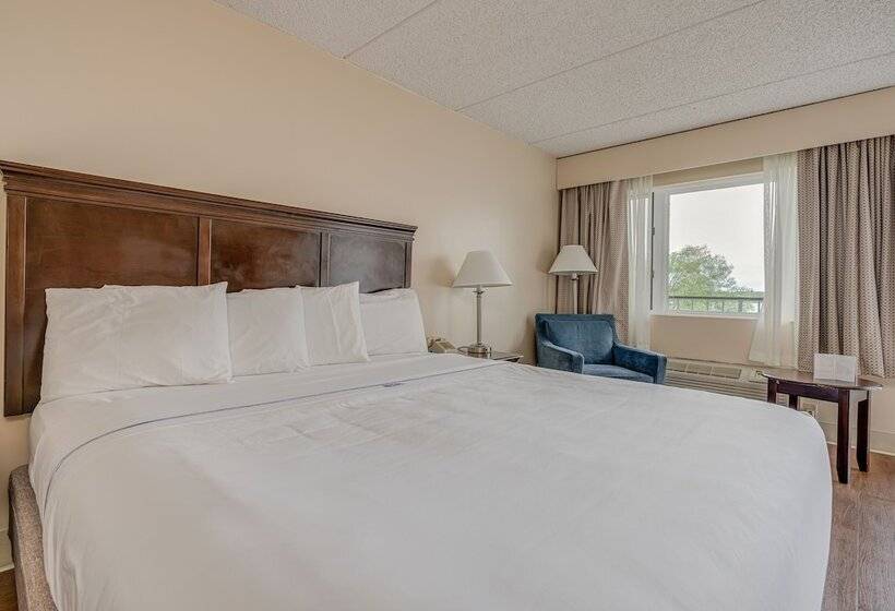 Bonnie Castle Resort & Marina