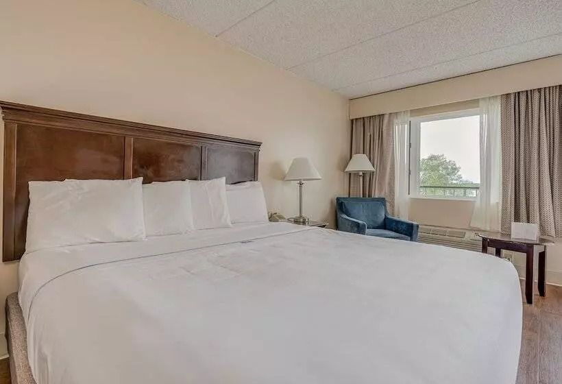 Bonnie Castle Resort & Marina