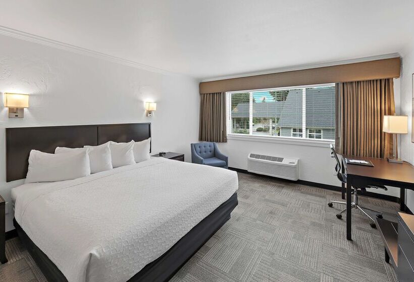 酒店 Best Western Wesley Inn & Suites