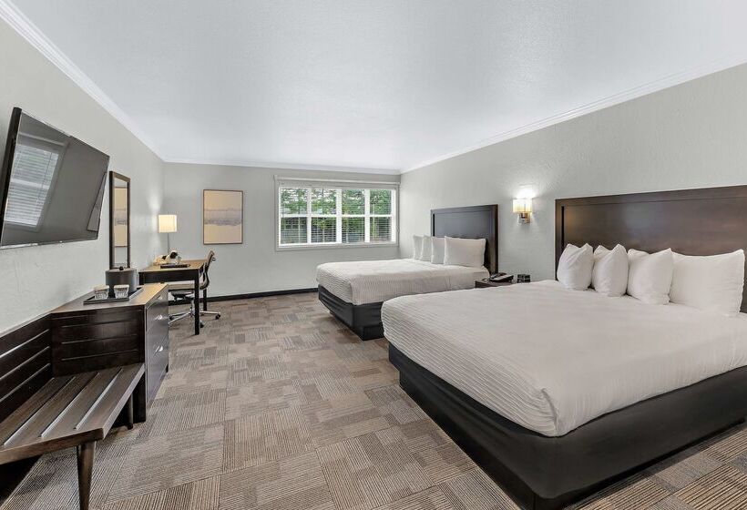 酒店 Best Western Wesley Inn & Suites