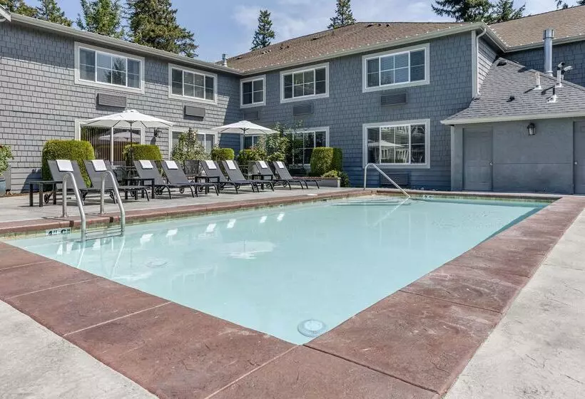 فندق Best Western Wesley Inn & Suites