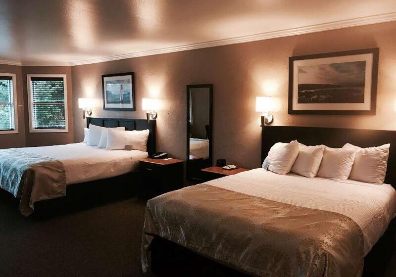 酒店 Best Western Wesley Inn & Suites