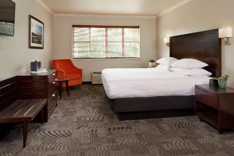 فندق Best Western Wesley Inn & Suites