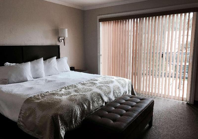 酒店 Best Western Wesley Inn & Suites