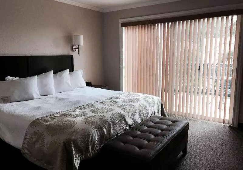 فندق Best Western Wesley Inn & Suites