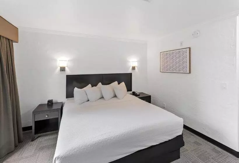 فندق Best Western Wesley Inn & Suites