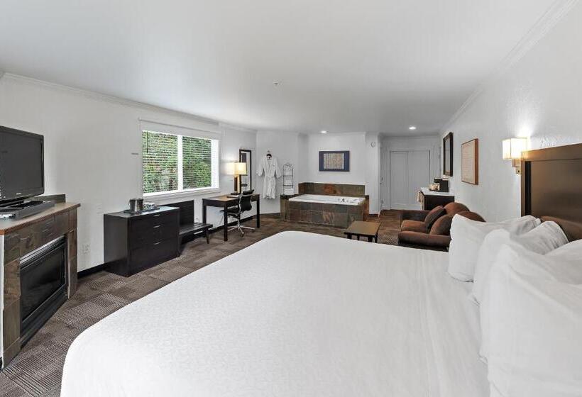 酒店 Best Western Wesley Inn & Suites