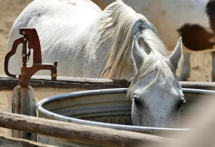 هتل Bill Cody Ranch