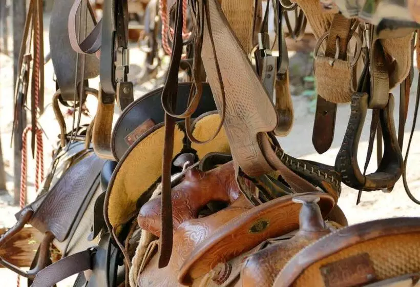 هتل Bill Cody Ranch