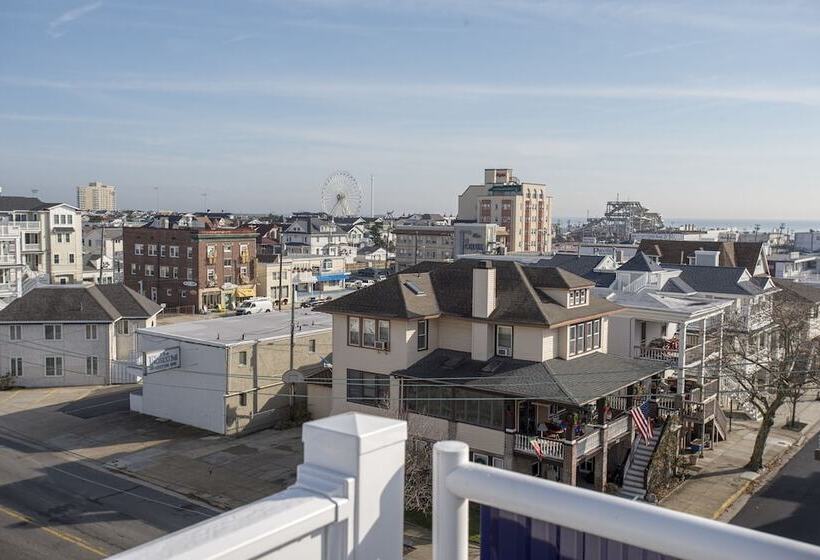 فندق Biscayne Suites