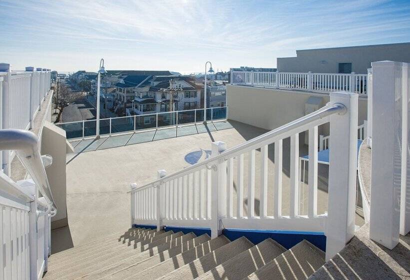 فندق Biscayne Suites