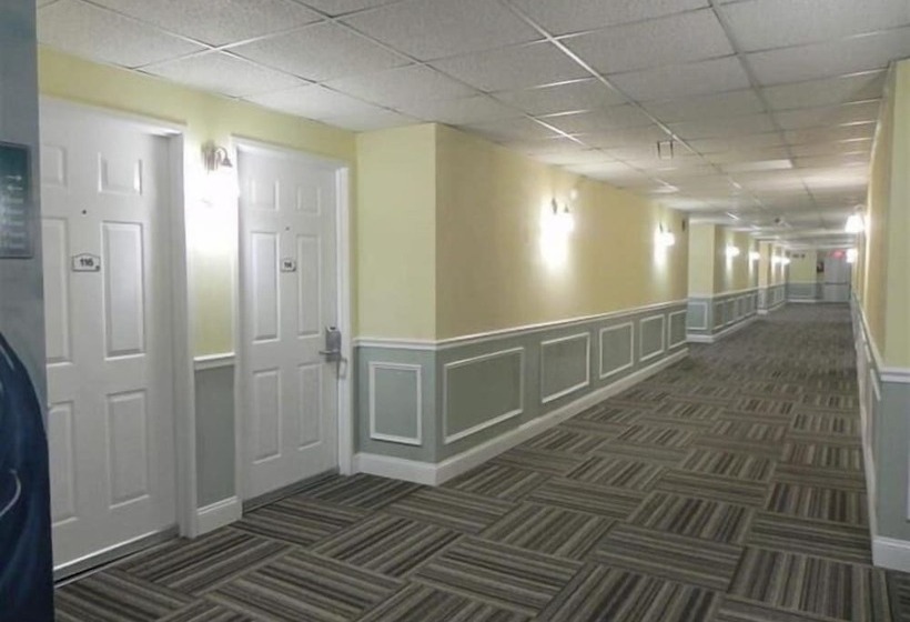 فندق Biscayne Suites