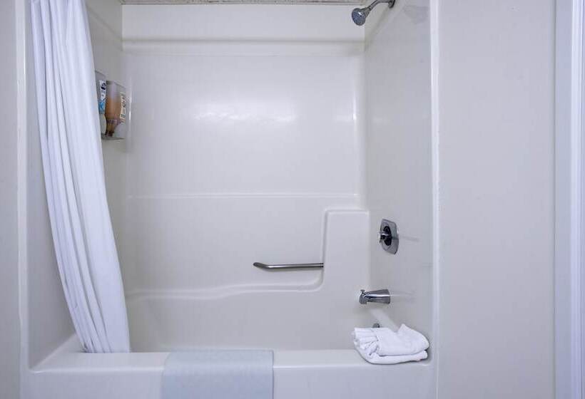 فندق Biscayne Suites