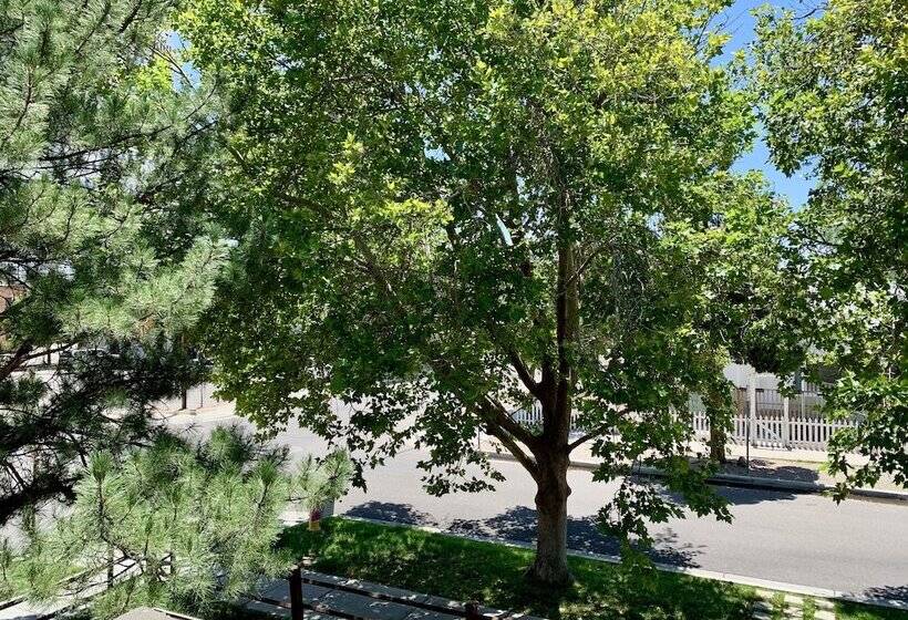 تختخواب و صبحانه El Cuervo Abq