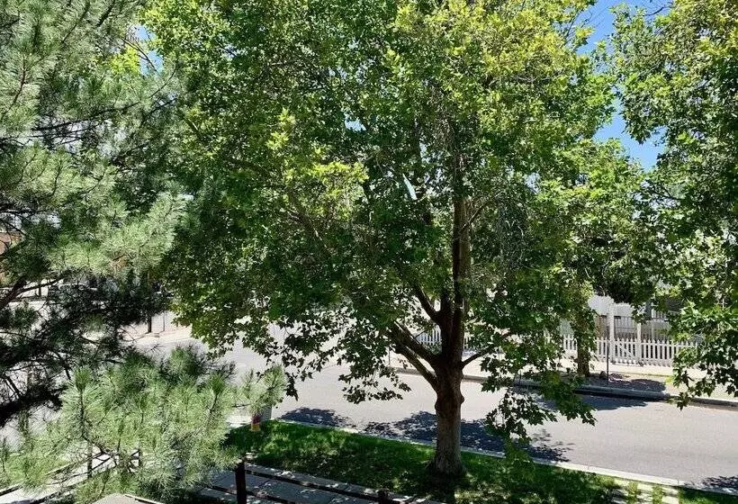 Bed and Breakfast El Cuervo Abq