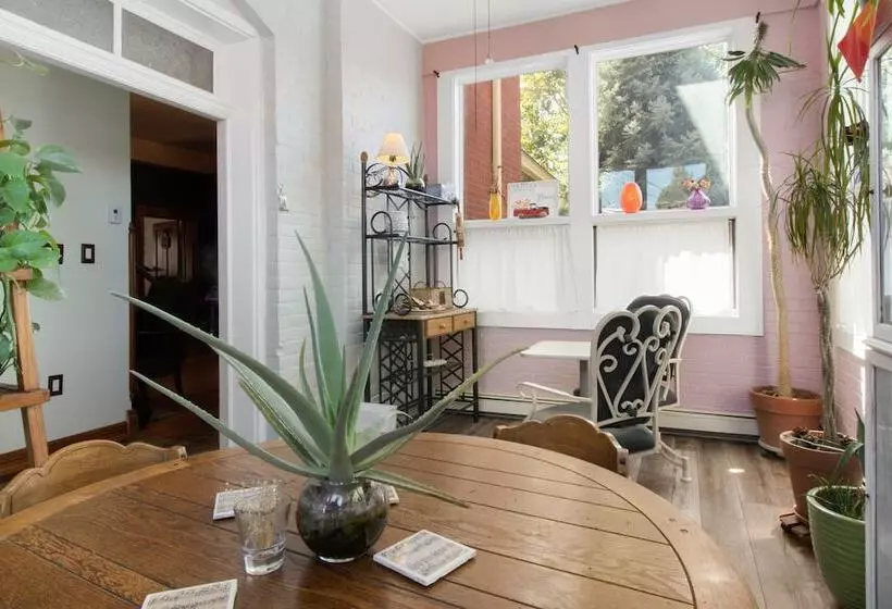 Bed and Breakfast El Cuervo Abq