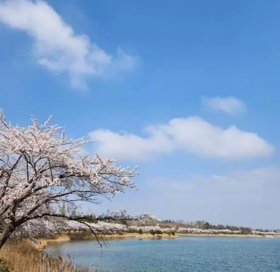 ホテル The Mark Sokcho Residence