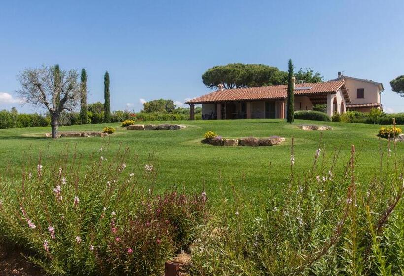 בית מלון כפרי Agriturismo Colle Oliveto