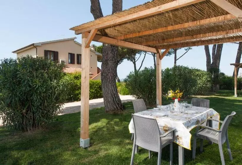 ホテル Agriturismo Colle Oliveto