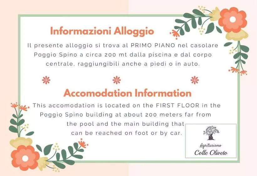 ホテル Agriturismo Colle Oliveto