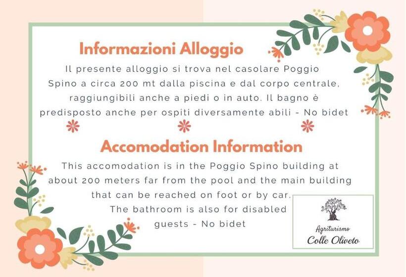 בית מלון כפרי Agriturismo Colle Oliveto