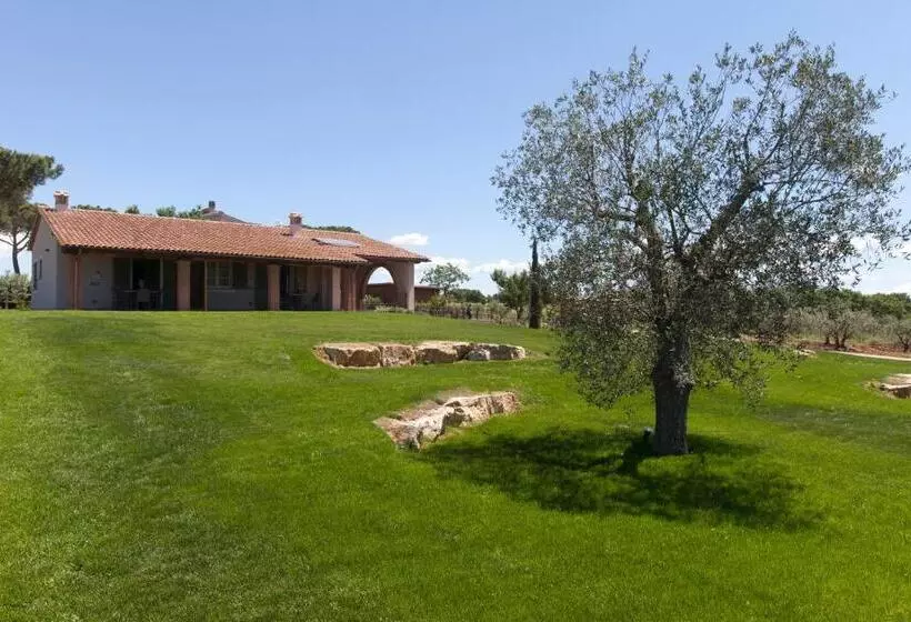 ホテル Agriturismo Colle Oliveto