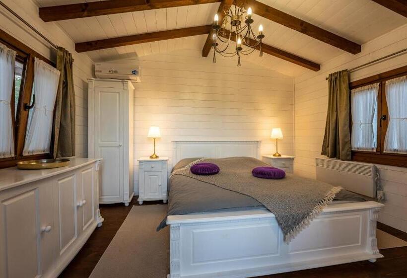 پانسیون Flori Haus Saschiz