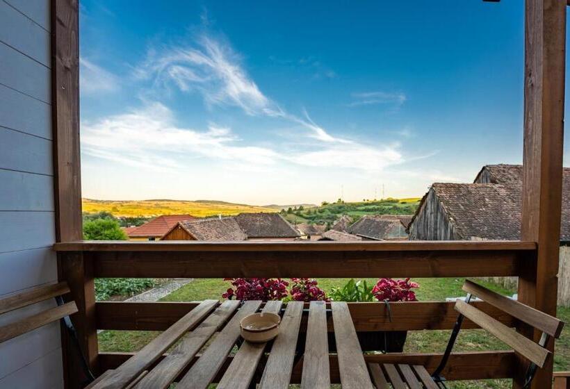 پانسیون Flori Haus Saschiz