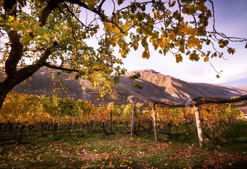 호텔 Gibbston Valley Lodge And Spa