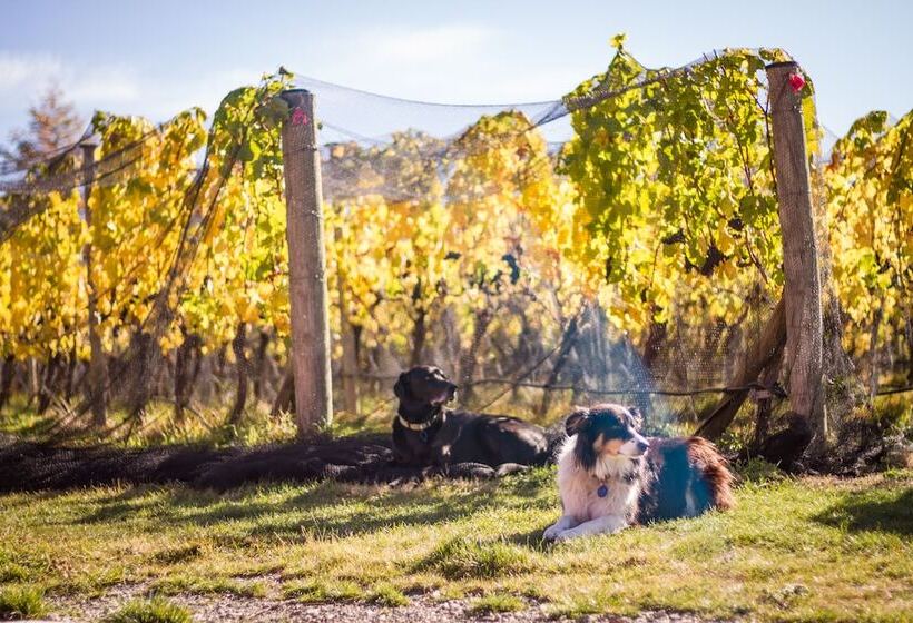 호텔 Gibbston Valley Lodge And Spa