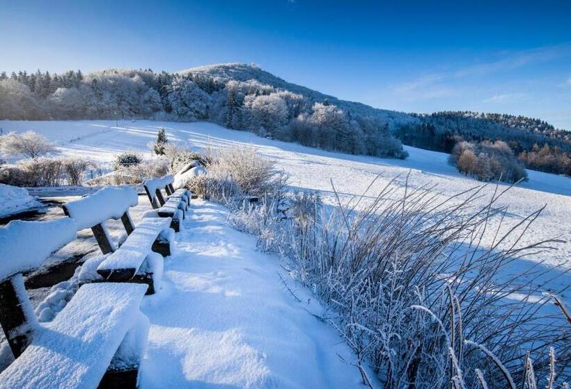 فندق Rubezahlbaude