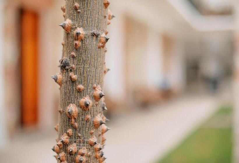 בית מלון כפרי Tabaa Oaxaca
