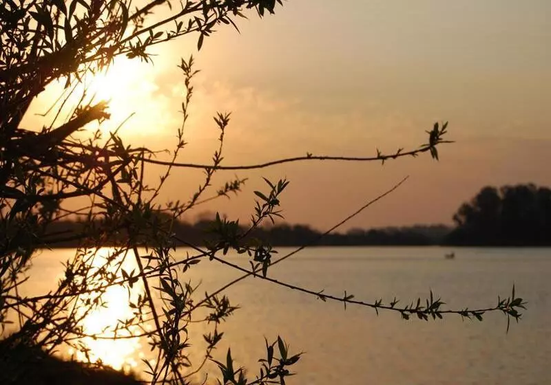 ホテル Mercedes Rambla