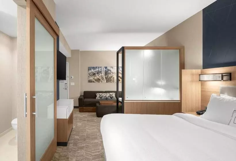 ホテル Springhill Suites By Marriott Jackson