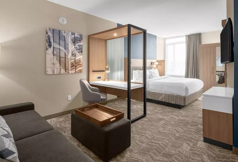 ホテル Springhill Suites By Marriott Jackson