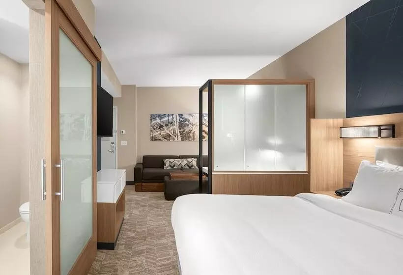 ホテル Springhill Suites By Marriott Jackson